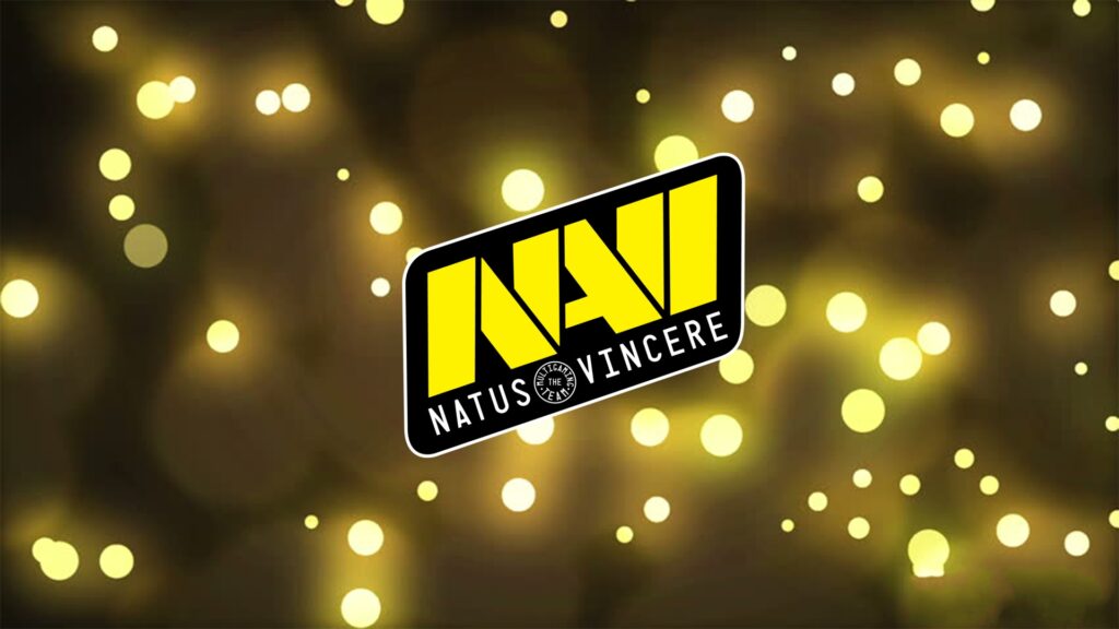 NAVI2021年CSGO最强战队