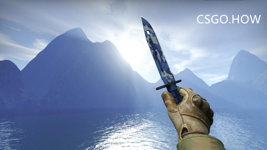 CSGO刀型介绍和推荐2021新手向CSGO不同匕首评测科普 