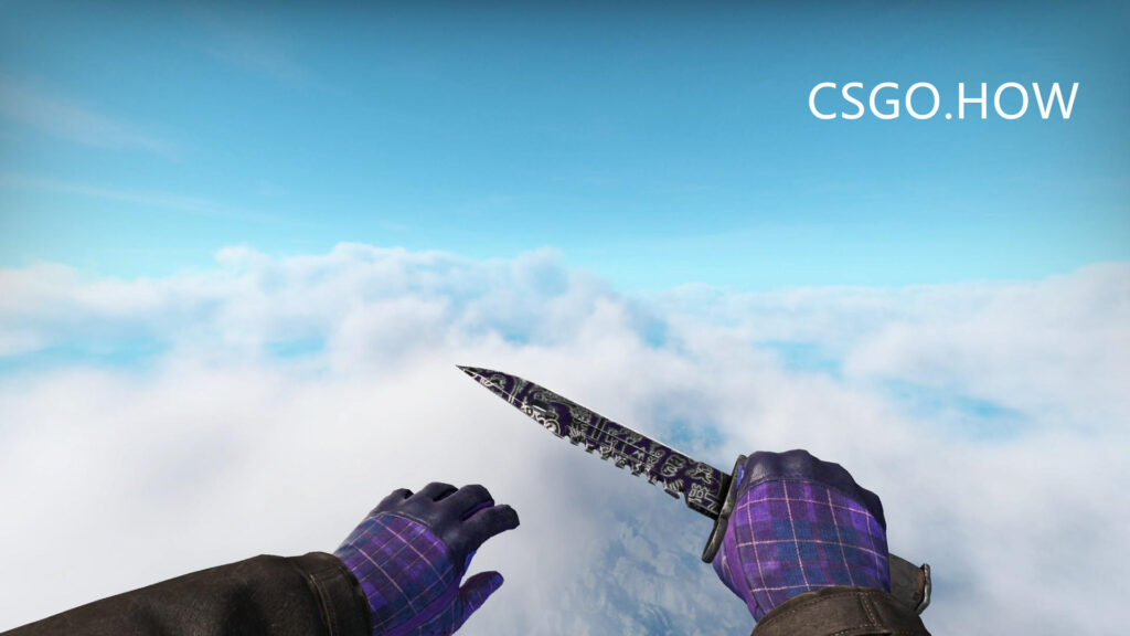 CSGO刀型介绍和推荐2021新手向CSGO不同匕首评测科普 
