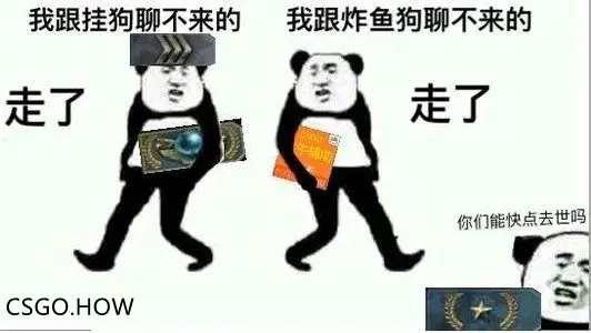 CSGO 你真的讨厌女玩家吗？炸鱼狗和挂狗