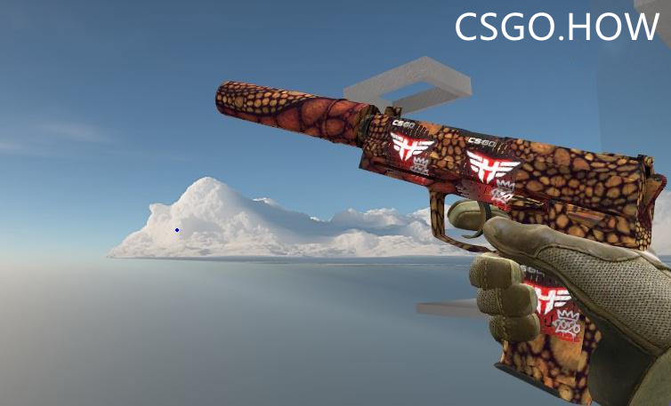 CSGO激流大行动饰品搭配指南，新皮肤已可交易