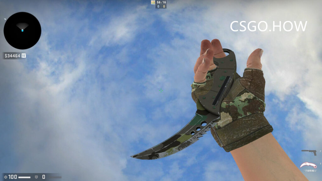 CSGO刀型介绍和推荐2021新手向CSGO不同匕首评测科普 